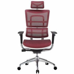 executive office chair-DL-801Y