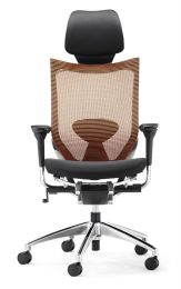 Modern Office Chair High Quality High Back Office Chair-DL-1660