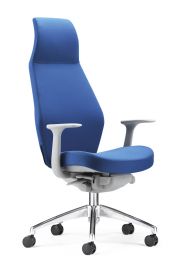 popular high office chair for sale-DL-1310